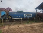 RUMO HTT-351384-0
